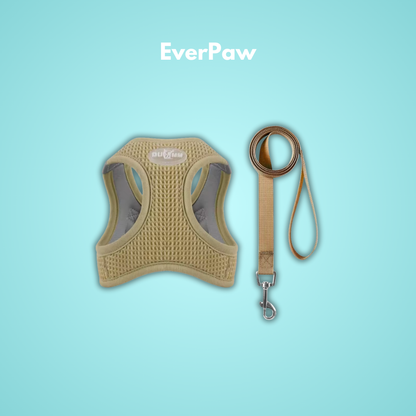 EverPaw: Mach eure Spaziergänge zu einem Highlight