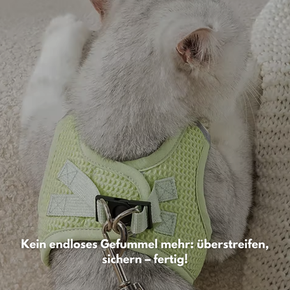 EverPaw: Mach eure Spaziergänge zu einem Highlight