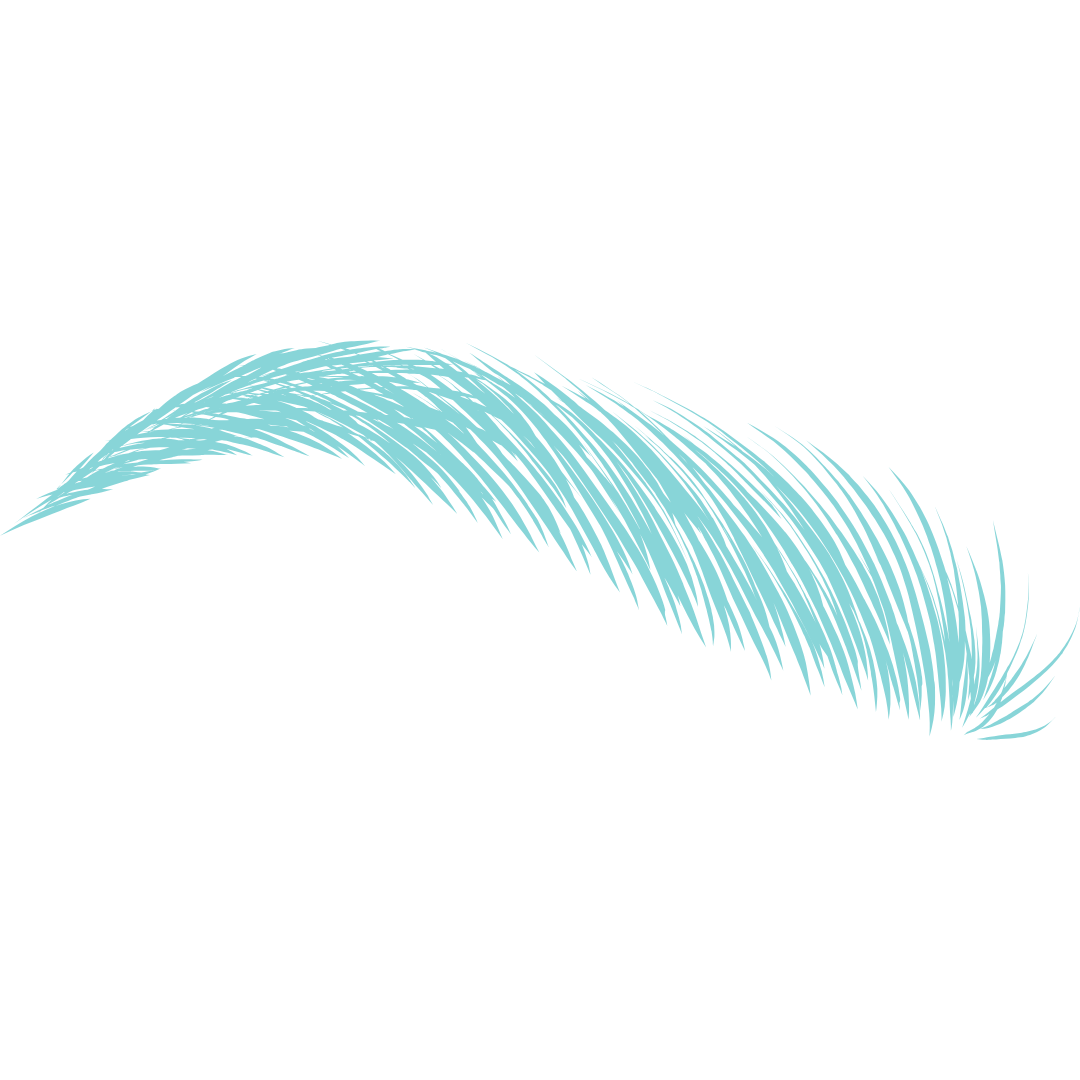 feature-item-3