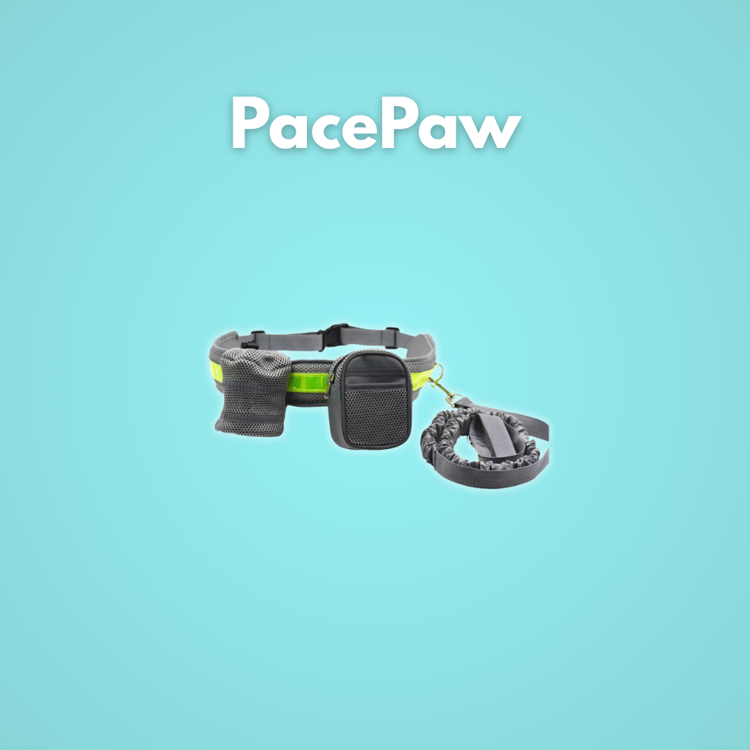 PacePaw: Die freihändige Hundeleine.