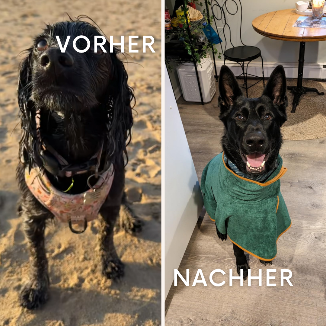 FluffyWrap: Der saugstarke Hunde Bademantel