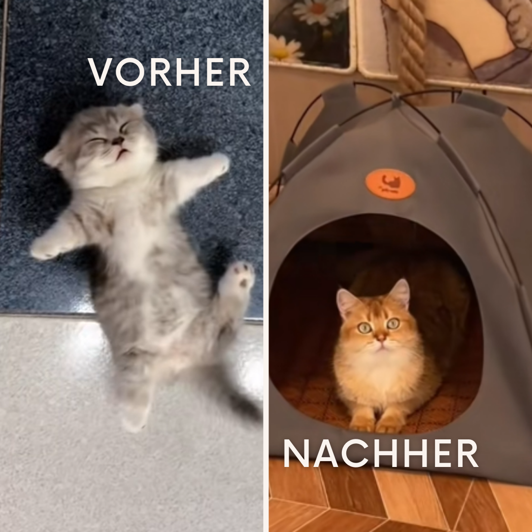 PurrTent: Das Zuhause, das dein Tier wirklich verdient