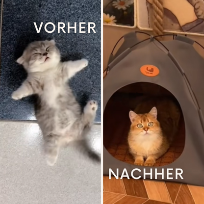 PurrTent: Das Zuhause, das dein Tier wirklich verdient