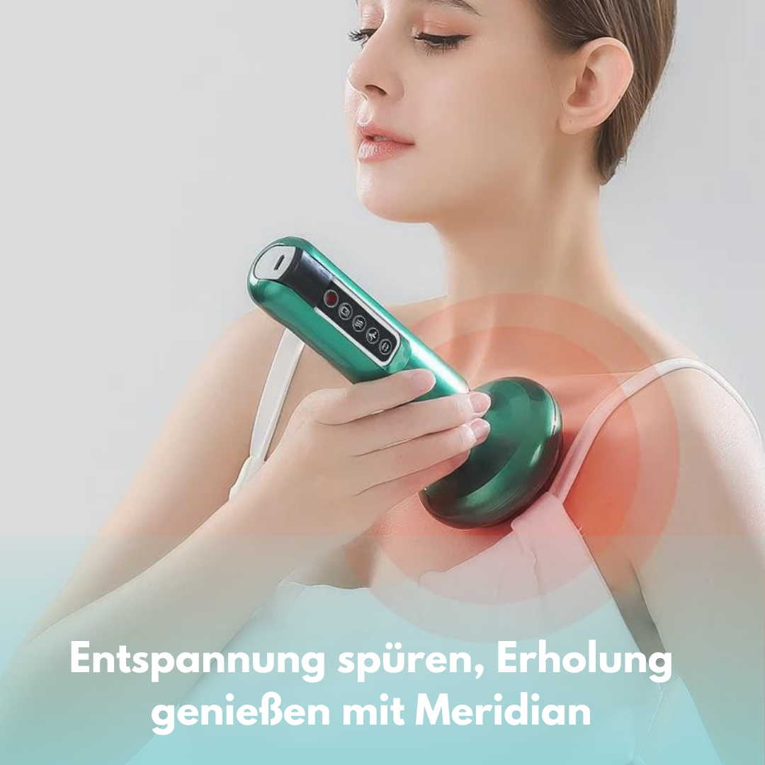 Meridian Massagegerät