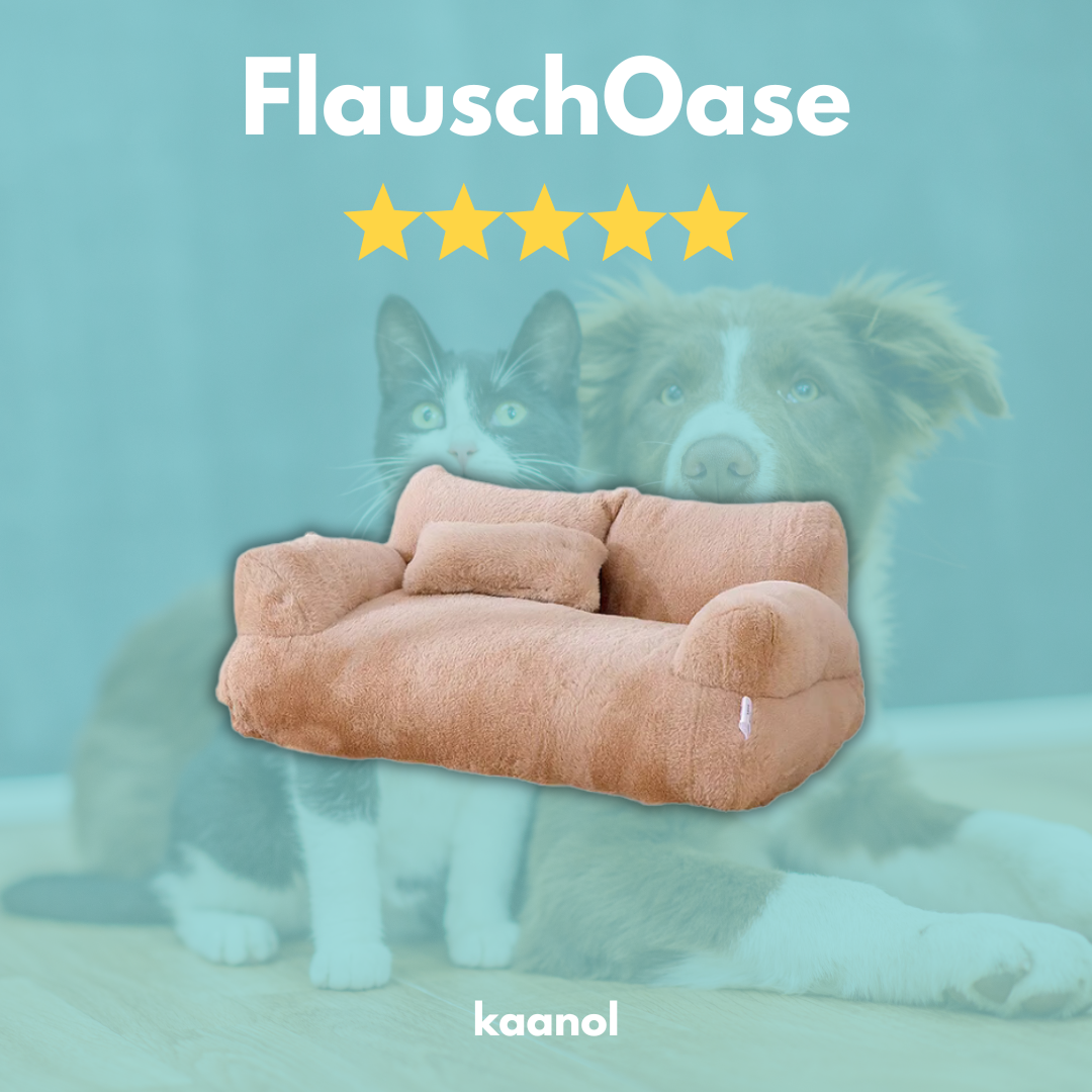 FlauschOase