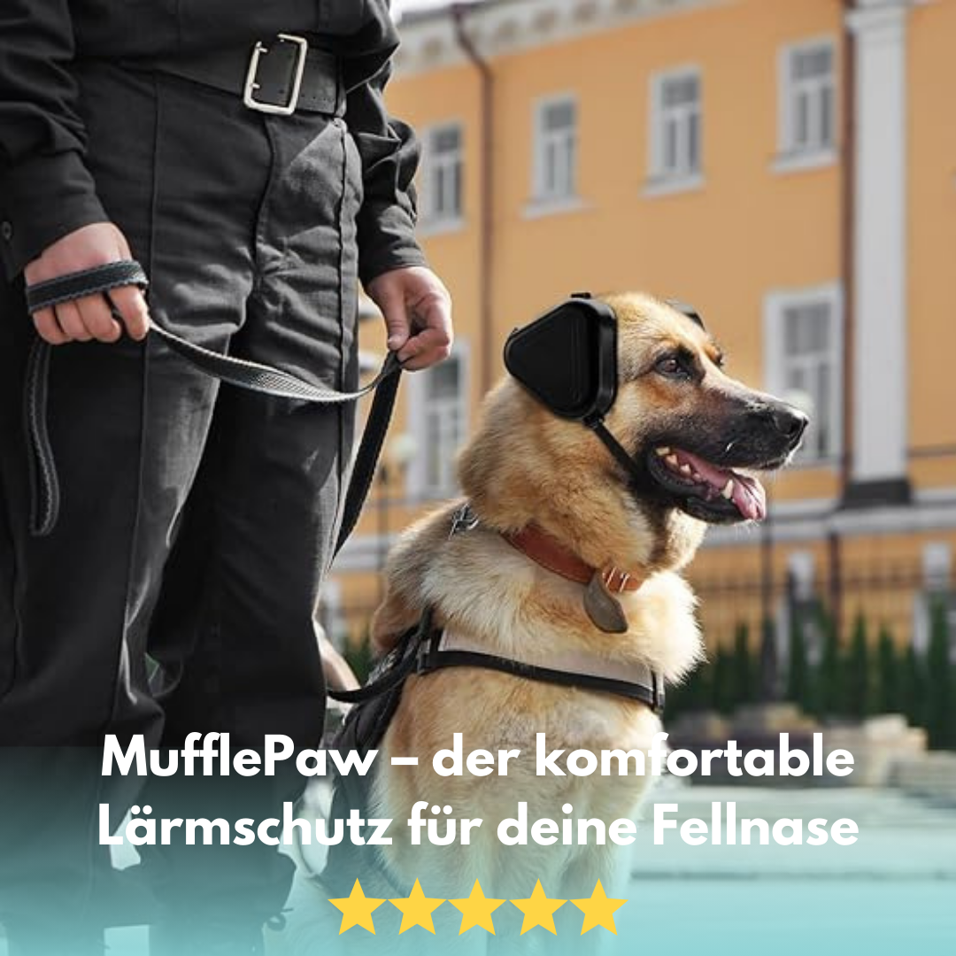 MufflePaw: Endlich Ruhe für empfindliche Hundeseelen!